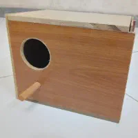 لانه