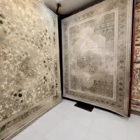 ۱۲۰۰شانه ویژه مزدوجین دانه ۳۰ تومن