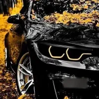 خ حواله سورن خارجی تاراریرا207بی وای دی فیدلیتی و.