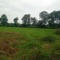 فروش زمین باغی به متراژ دل خواه