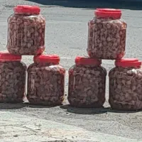 ترشی گل سیر