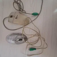 دو عدد موس