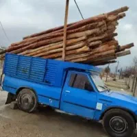 فروش و خرید انواع چوب