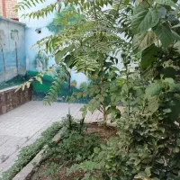 همخونه-خانم