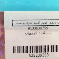 0913363 صفر و کف قیمت تا امروز
