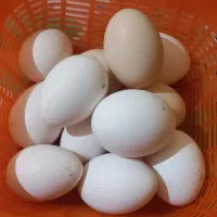 تخم مرغ محلی دونه ای ۱۸ تمن