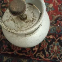 پنکنیک سالم