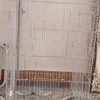 قفس