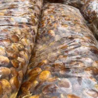 خرما گوشتی قند بالا درجه یک