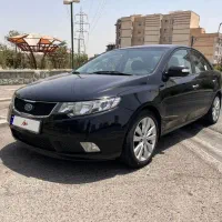 سراتو وارداتی، بی رنگ، دو برگ سند