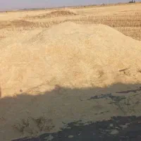 کاه گندم تازه درجه