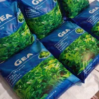 بذر یونجه سبزینه