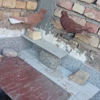کبوتر و پرنده
