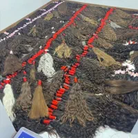 خریدار وصادر کننده مو