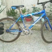 فروش دوچرخه ساده