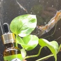 قطره هلکسیر