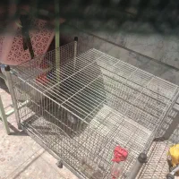 قفس بزرگ