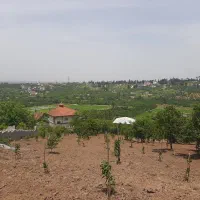 زمین