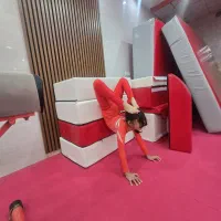 آکادمی ژیمناستیک و رزمی هانی