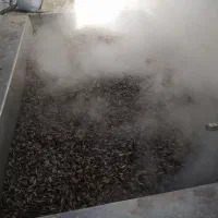 تخمه خارجی ایرانی پختن بودادن و...۳۰۰کیلو به بالا