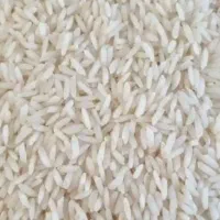 برنج هاشمی اعلاء