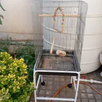 قفس پرنده
