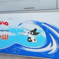 فریزر|یخچال و فریزر|شاسکوه, |دیوار