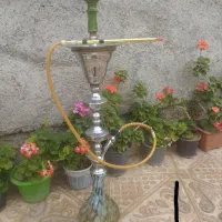 تعدای قلیان فروشی