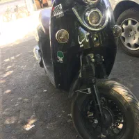 Ms150