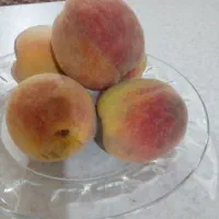 هلو|خوردنی و آشامیدنی|زنجان, |دیوار