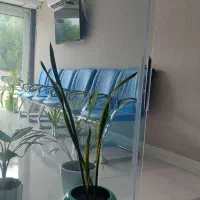 درخواست منشی جهت کار دفتری