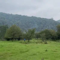 ۱۵ هزار متر زمین ، آب و برق و گاز سر زمین، چاه آب