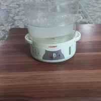 بخارپز