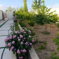 باغبانی.تیلرزنی.هرس. کاشت گل ونهال