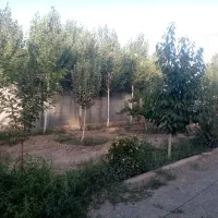 باغ 1000 متری فروشی