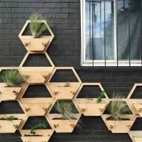 شلف شش ضلعی