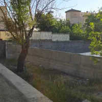 زمین رودهن ۳۳۸ متر