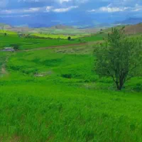 فروش زمین