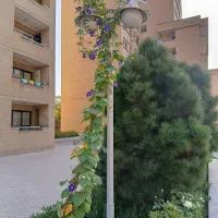 نیروی خدماتی دائمی