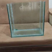 آکواریوم ماهی
