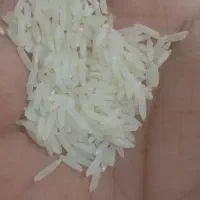 حراج برنج