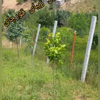 فروش زمین درروستای خوش آب وهوا|فروش زمین و ملک کلنگی|رامیان, |دیوار