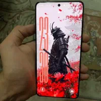 oneplus 13 256/12