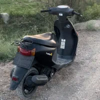فروش پاکشتی سوزکی