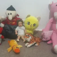 تعدادی‌عروسک‌