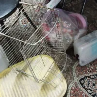 آبچکان