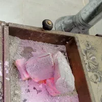 پخش عمده ذغال