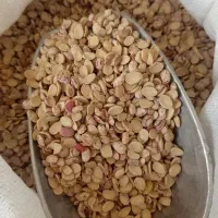 حبوبات|خوردنی و آشامیدنی|شیراز, تندگویان|دیوار
