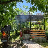 اجاره سوئیت آلاچیق دار ورودی جنگل دالخانی