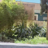 ۴۷۰ متر شریعتی ماهورزاده